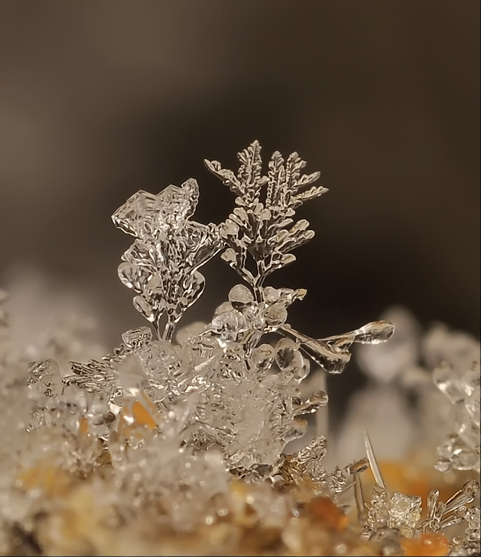 Romeo und nicht sehr ...