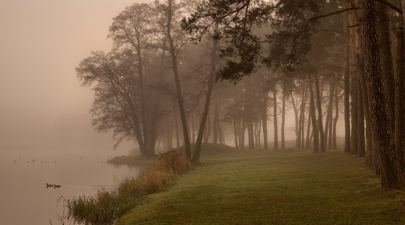 An einem nebligen Ufer