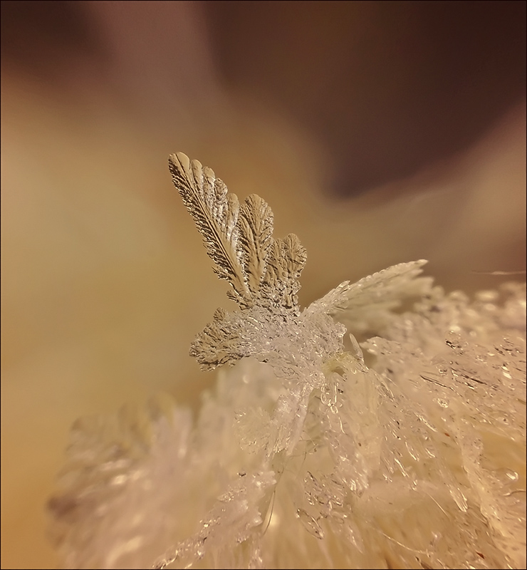 Der Flug des Phoenix ...