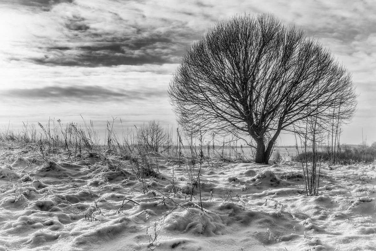 Schwarz und weiß Winter