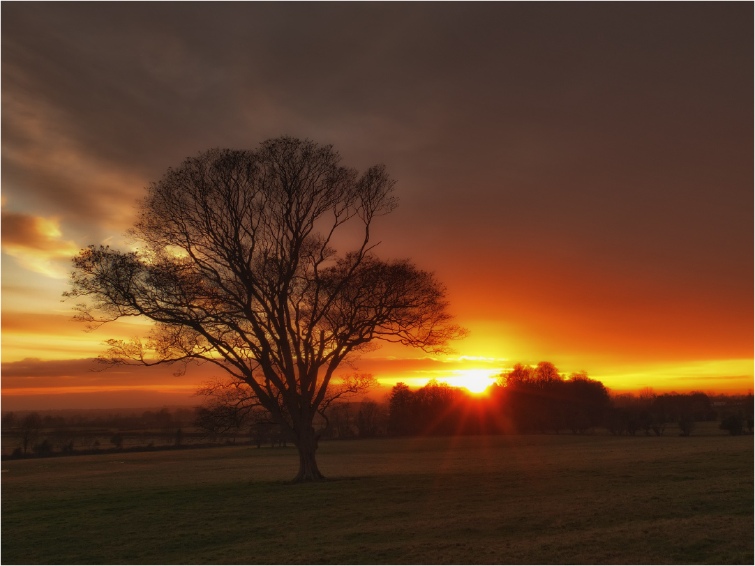 Lui ... na Gréine Fola ...
