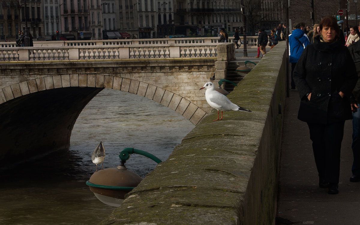 Innerhalb des Aufhebens