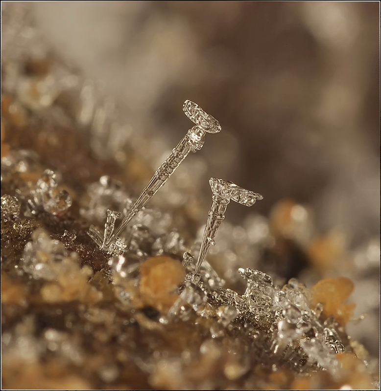 Unentdeckte Geheimnisse ...