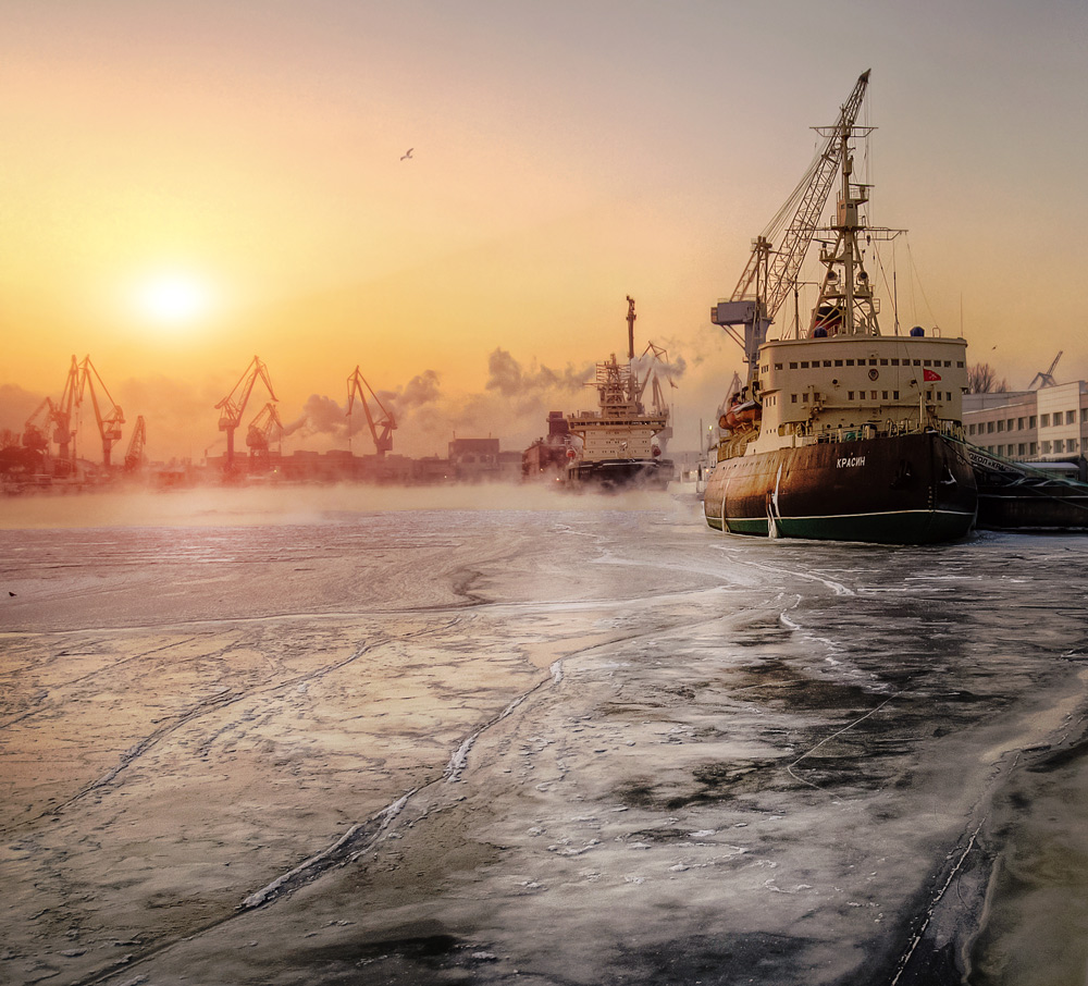 und immer wieder auf der "Krassin"