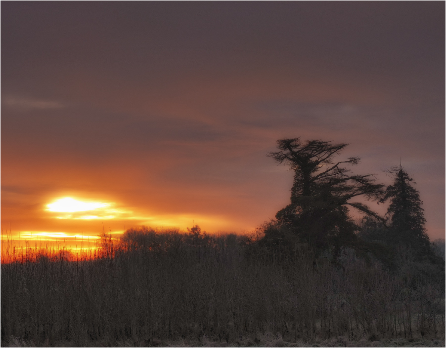 Country ... im Morgengrauen ...