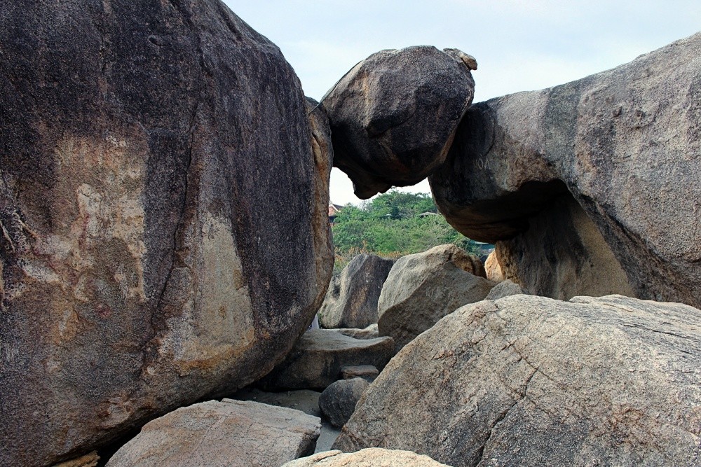 Steingarten-Hon Chong