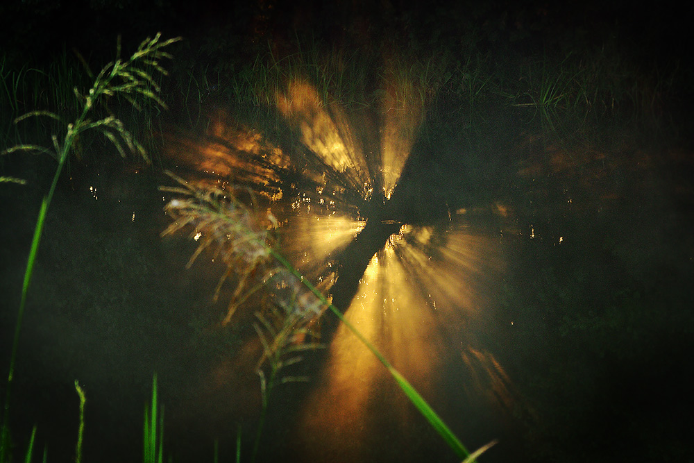 Augen der Morgenröte ..