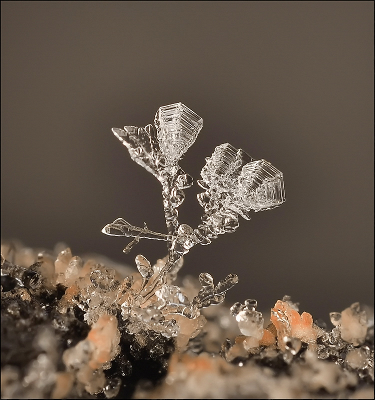 Holy smoke Schutz ...