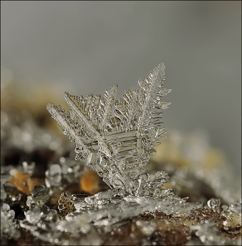 Die Tränen des Meeres ...