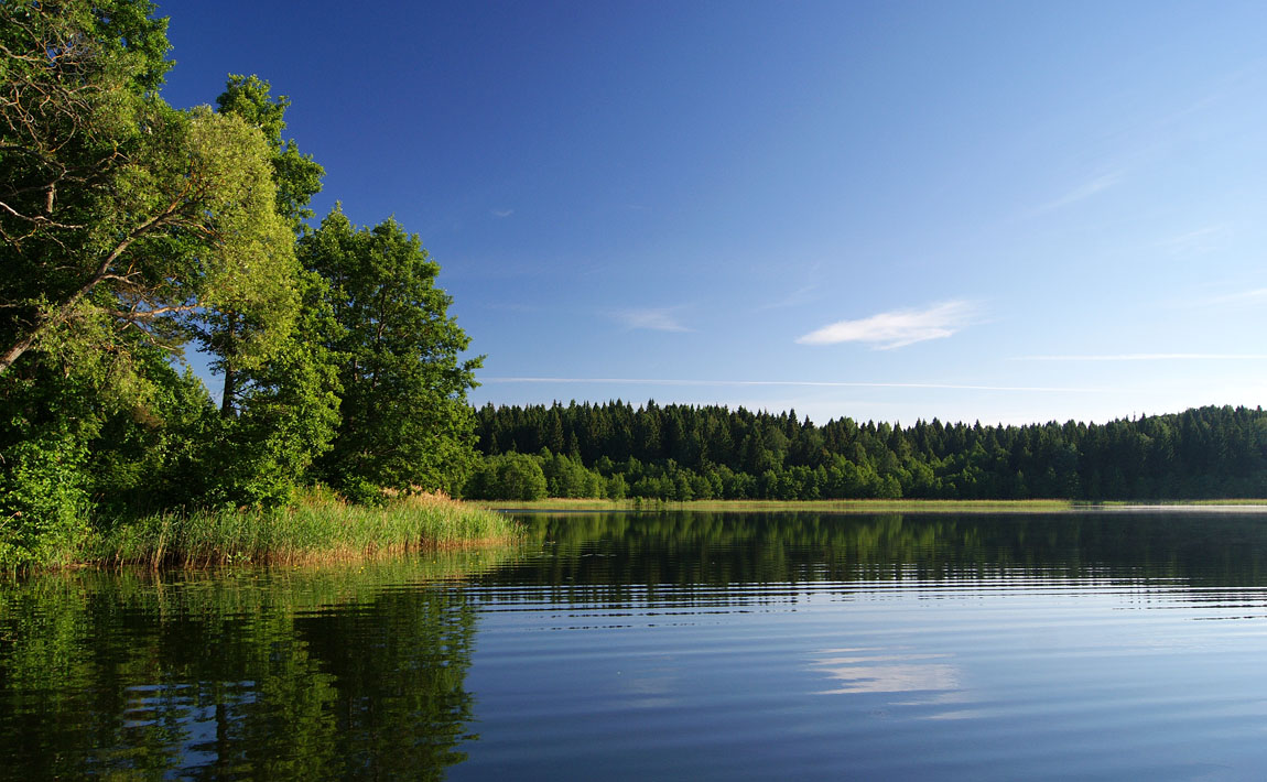 zurück in den Sommer