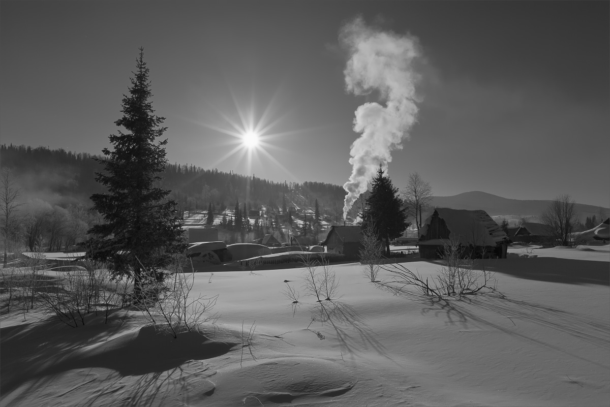 Fired Sauna im Garten ...