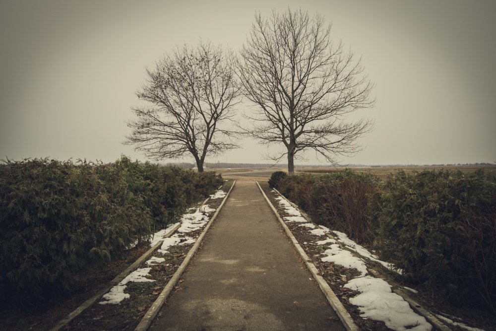 Warten auf den Frühling