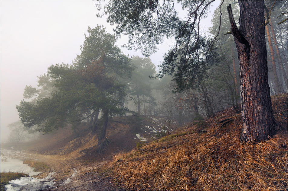 In diesem Winter ...