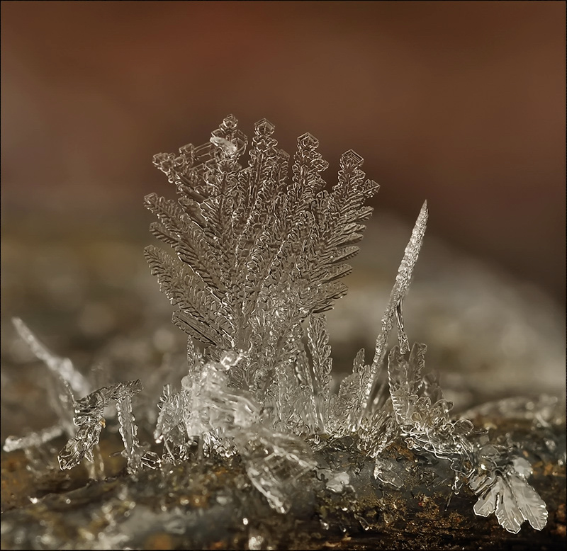 Spiegel, Spiegel sag mir ...