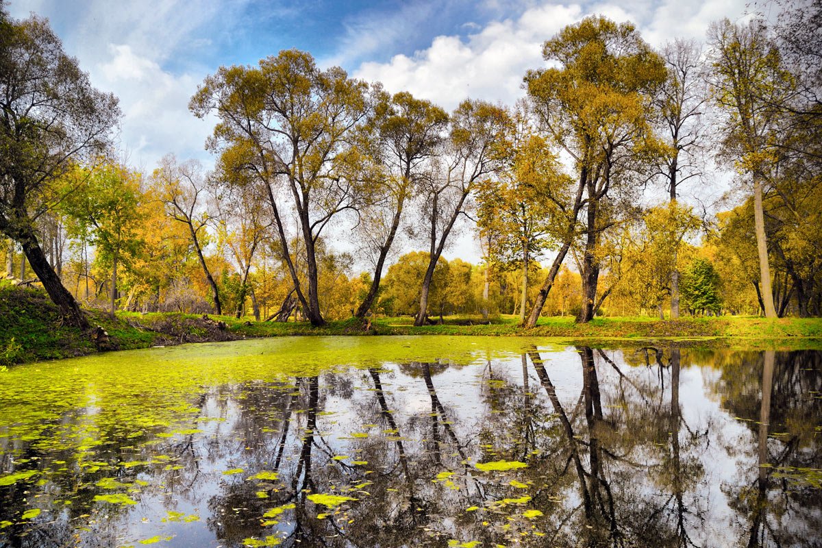 Farbe des Herbstes ....