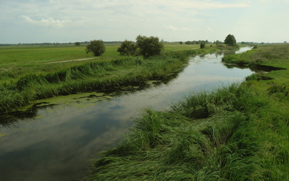 Modest Bach der Stadt