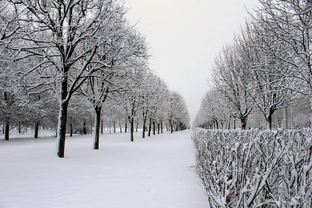 Der Winter ist gekommen