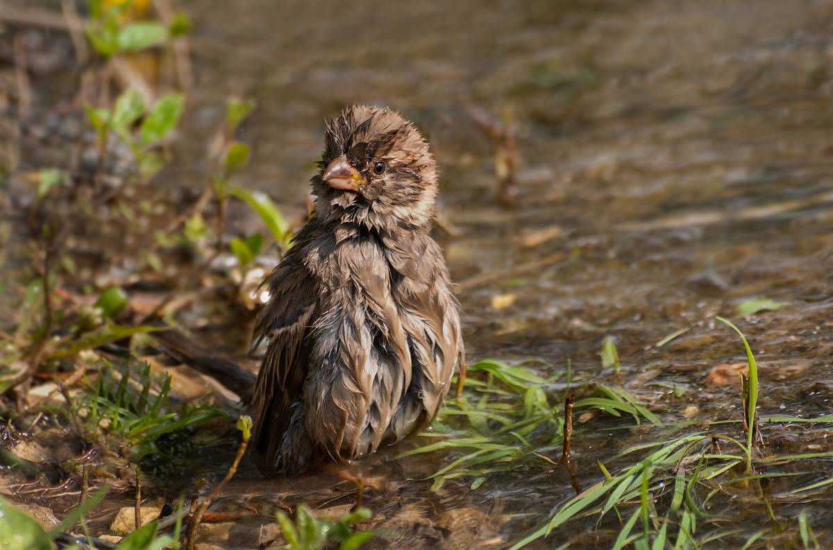 "Was machst du gerade? Bringen Handtuch!" ...