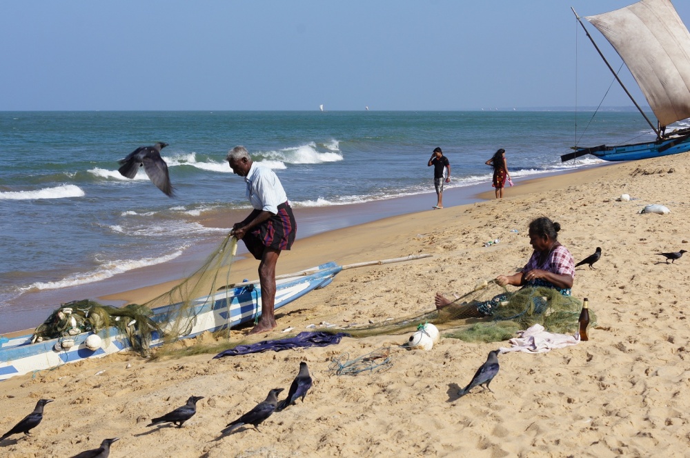 Küste Negombo
