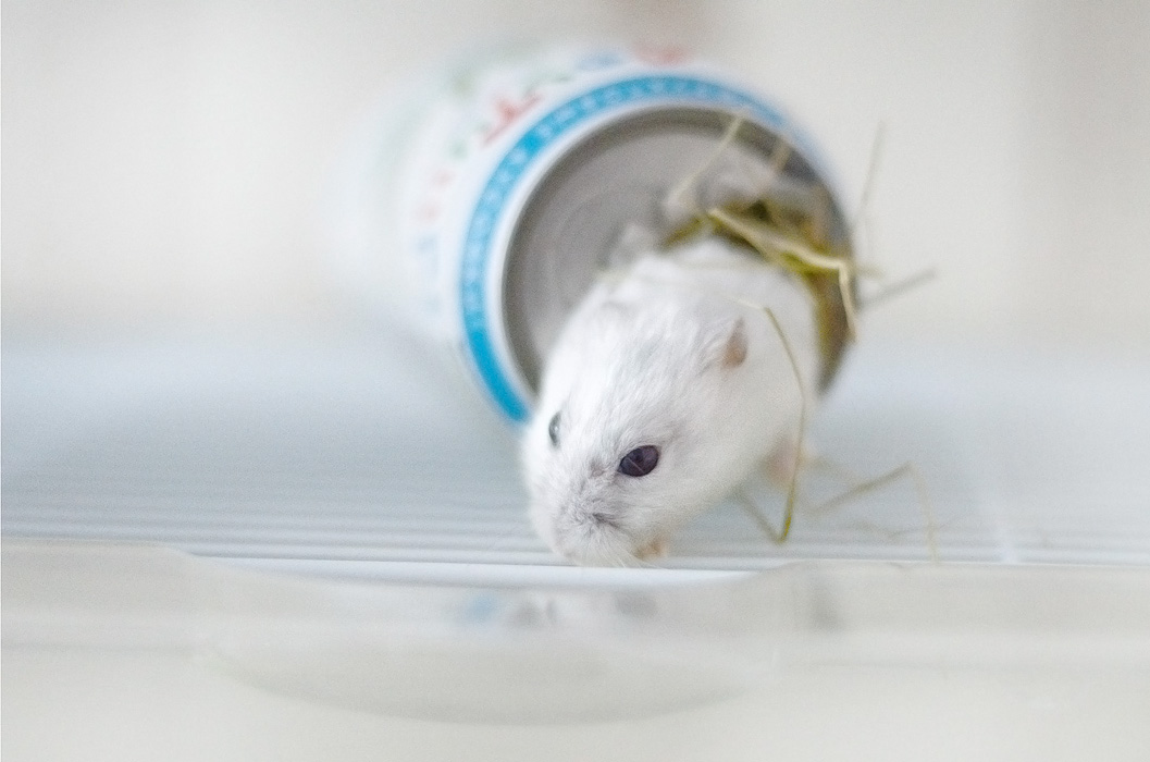 Das Haus, in dem ich lebe ...