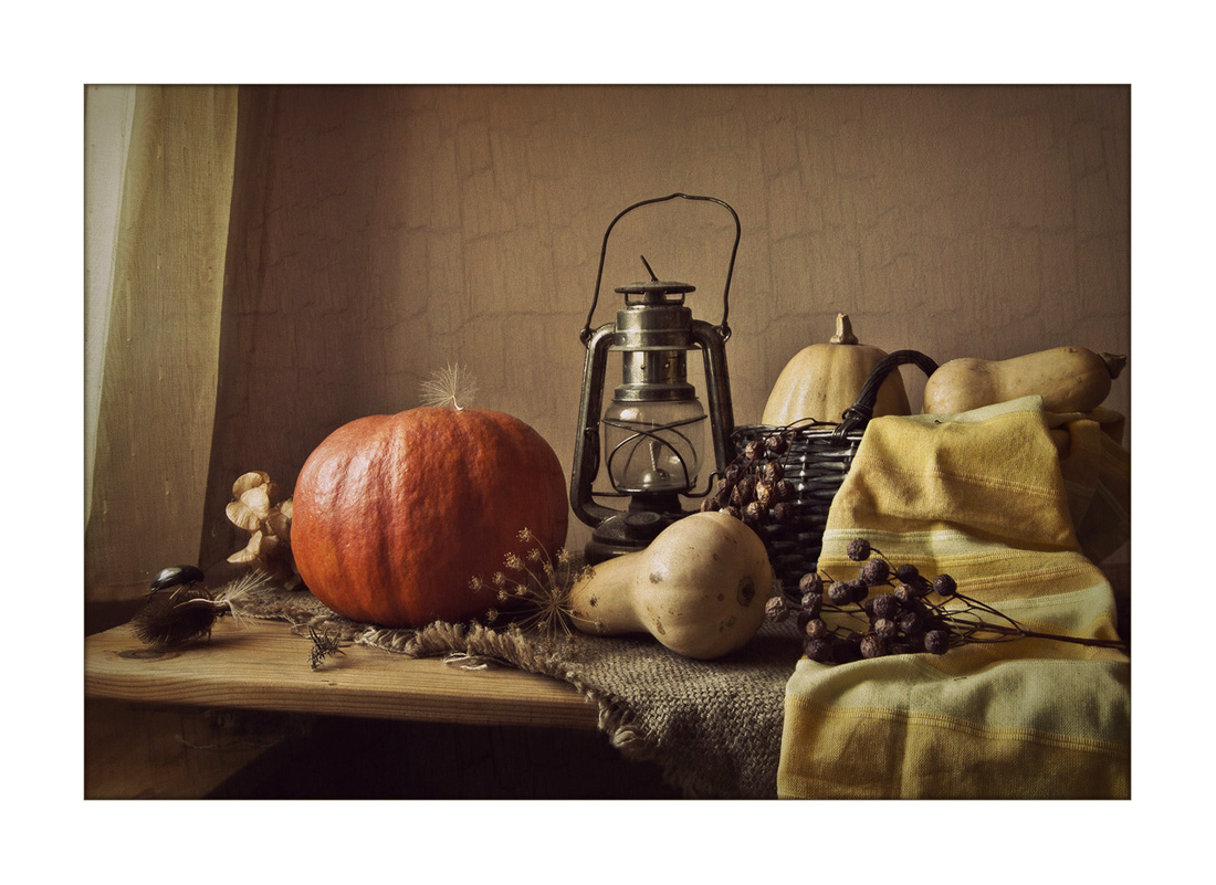 wieder über den Kürbis ...