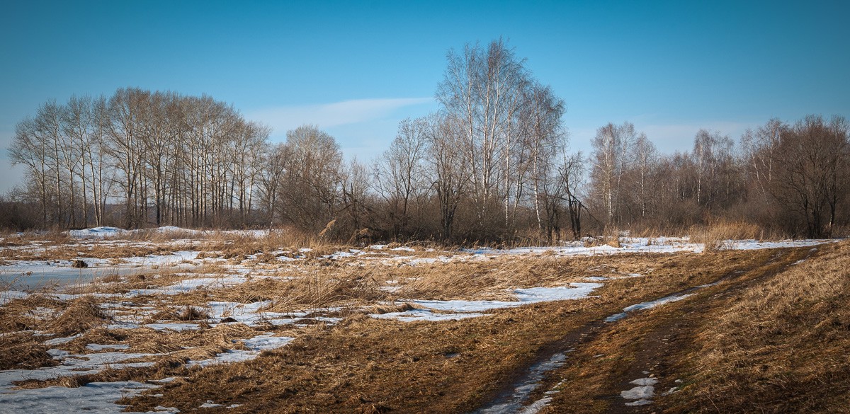 Frühling Tag im Februar ...