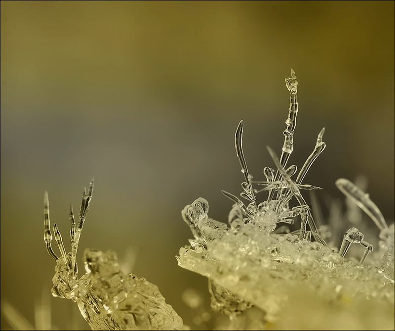 Es ist nicht alles Gold ...