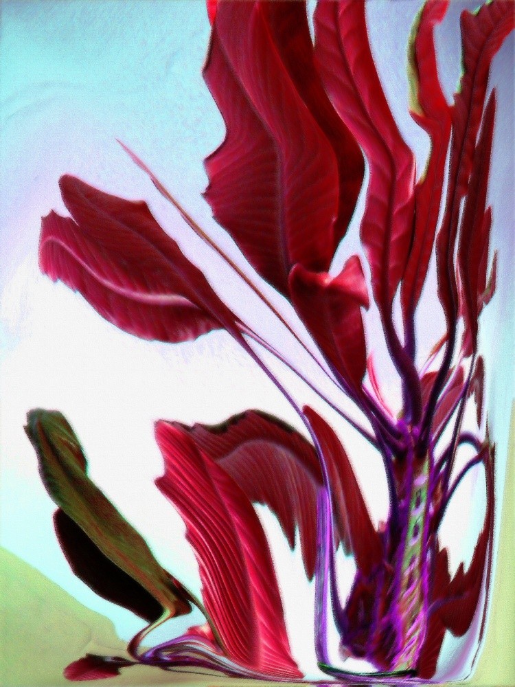 ..................................