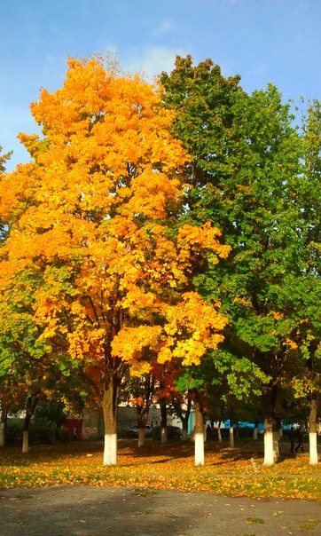 яркая осень