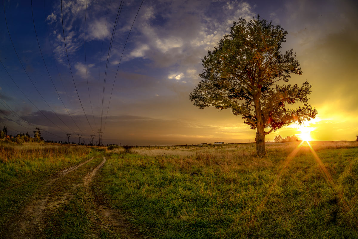 Warten auf den Sommer !!!