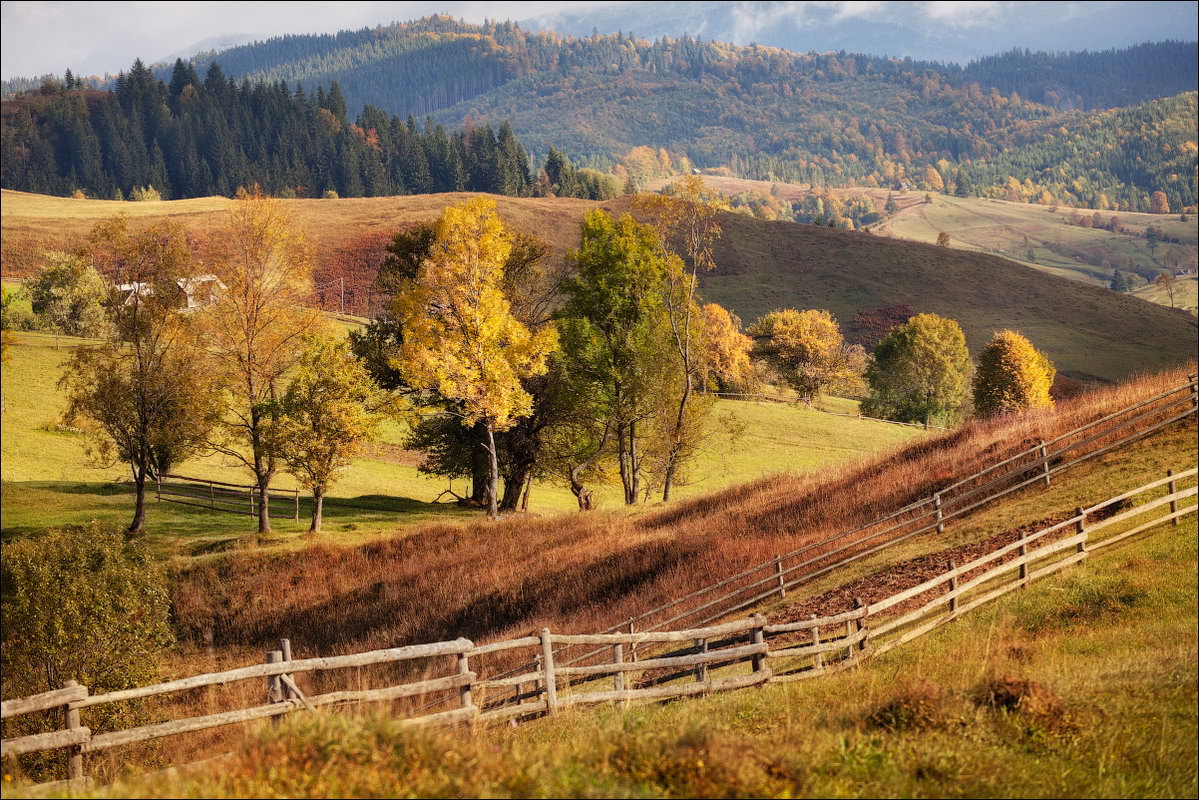 HERBST ... ZÄRTLICHKEIT ruhigen Lächeln ...