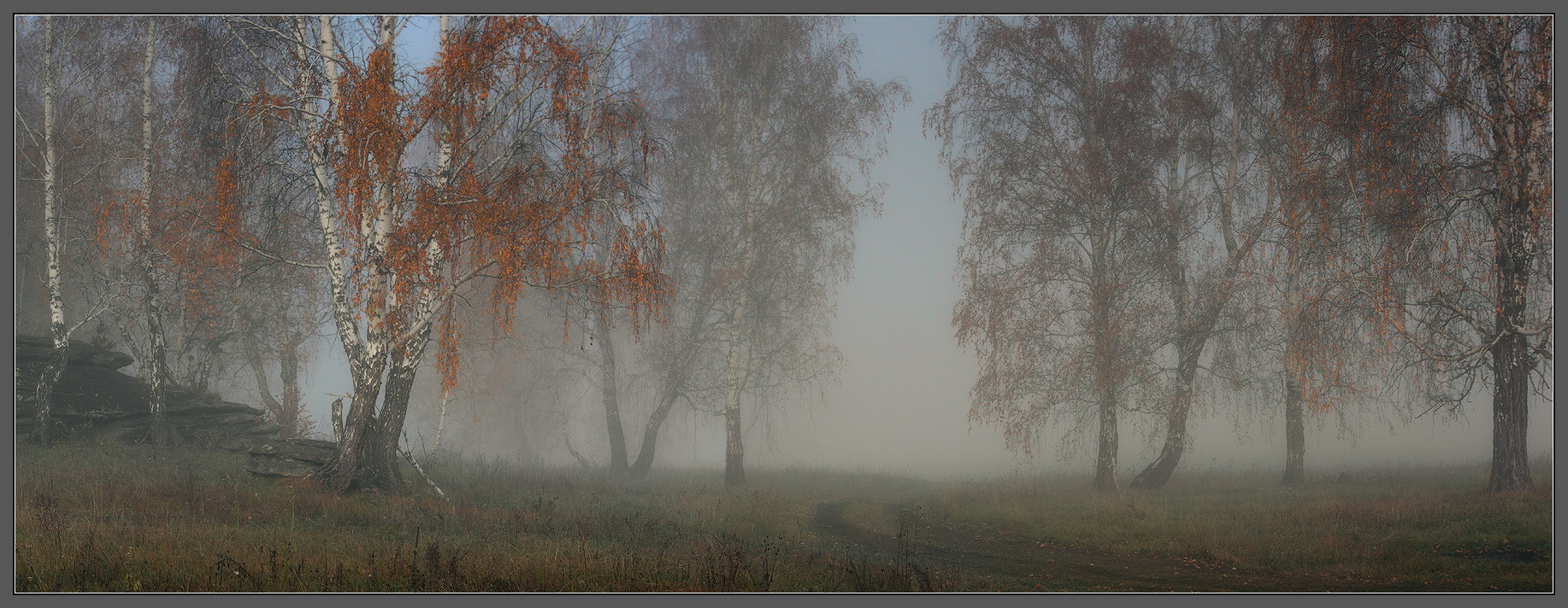 Oktober Nebel (4)
