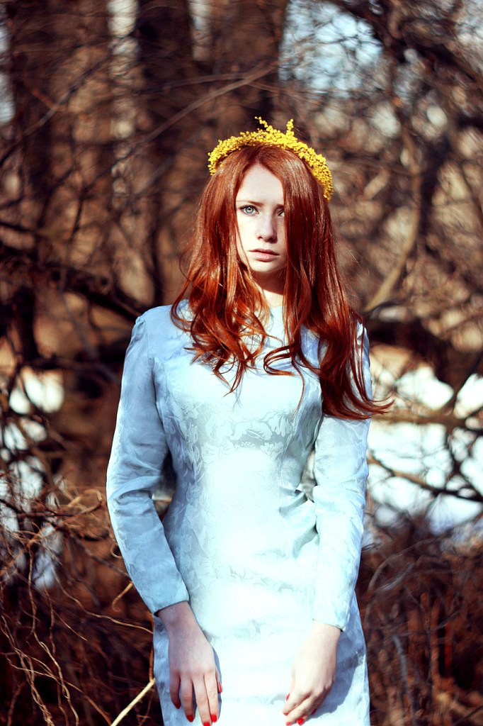 Chestnut Frühling ...