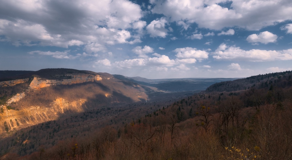 Warten auf den Frühling ...