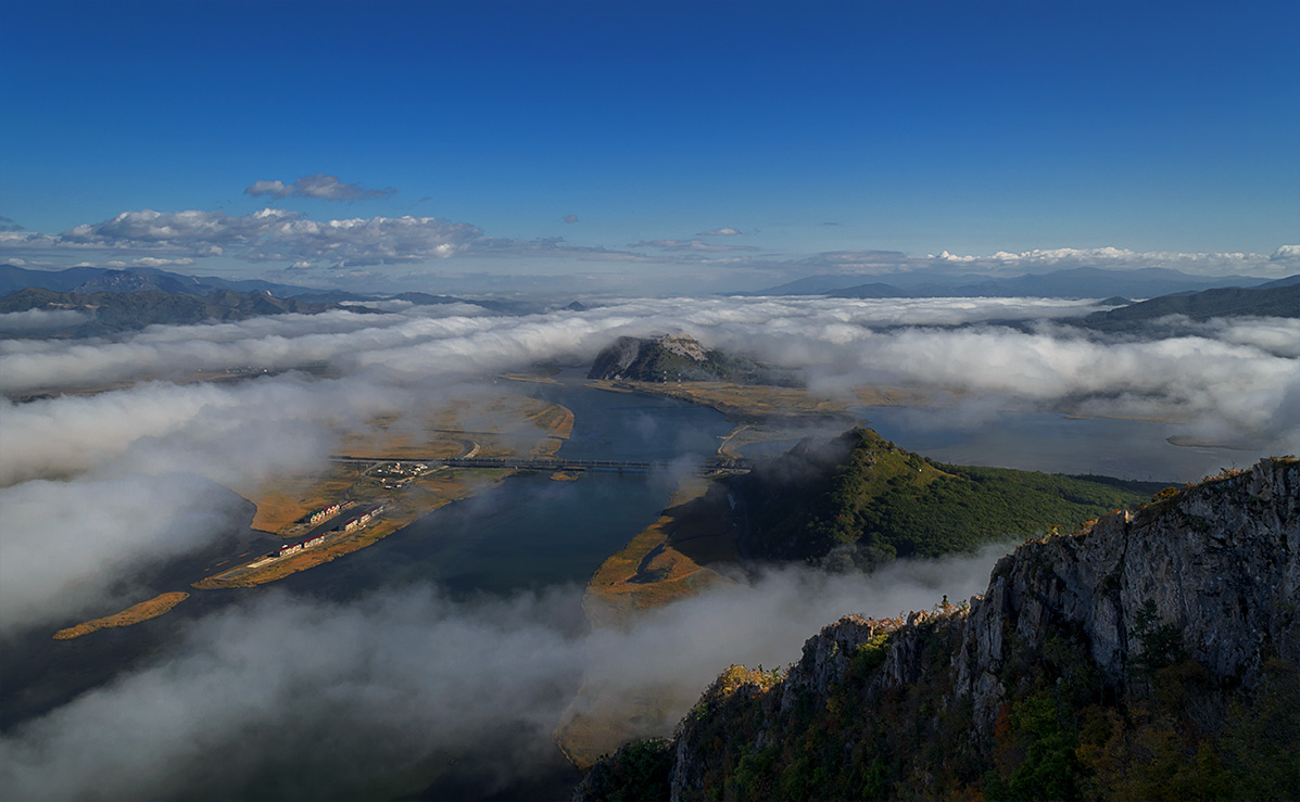 Schwester Bruder Neffen.