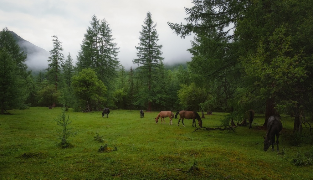 Am Morgen bewölkt ...