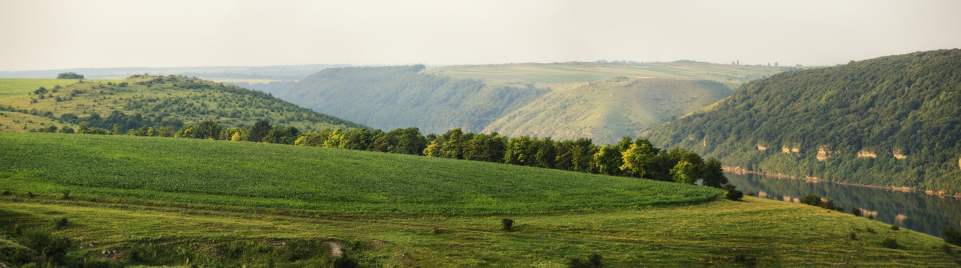 Sommermorgen auf dem Schwanz