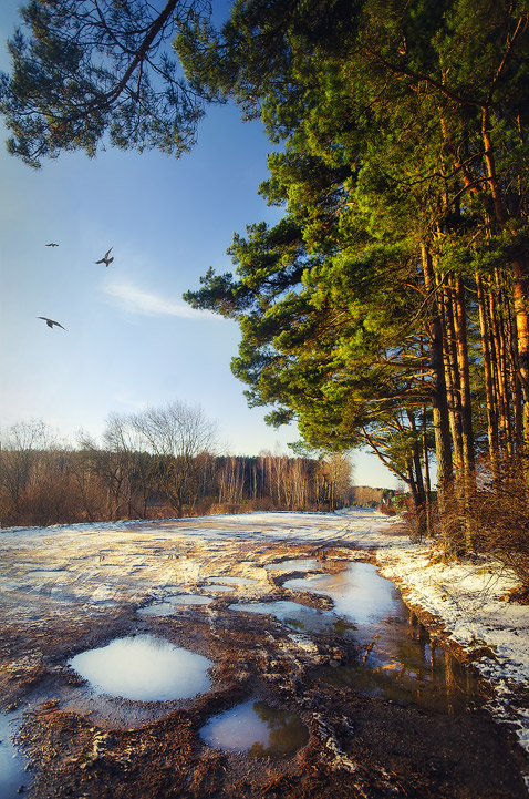 Eine 26. November ...