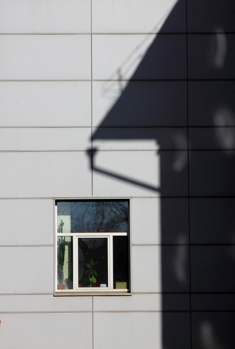 Ein Blick in unsere Fenster Frühling.