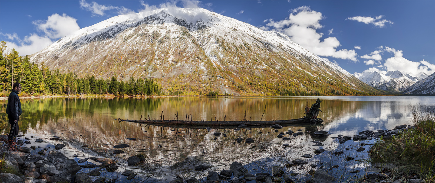 Panorama der Herbst Cartoons