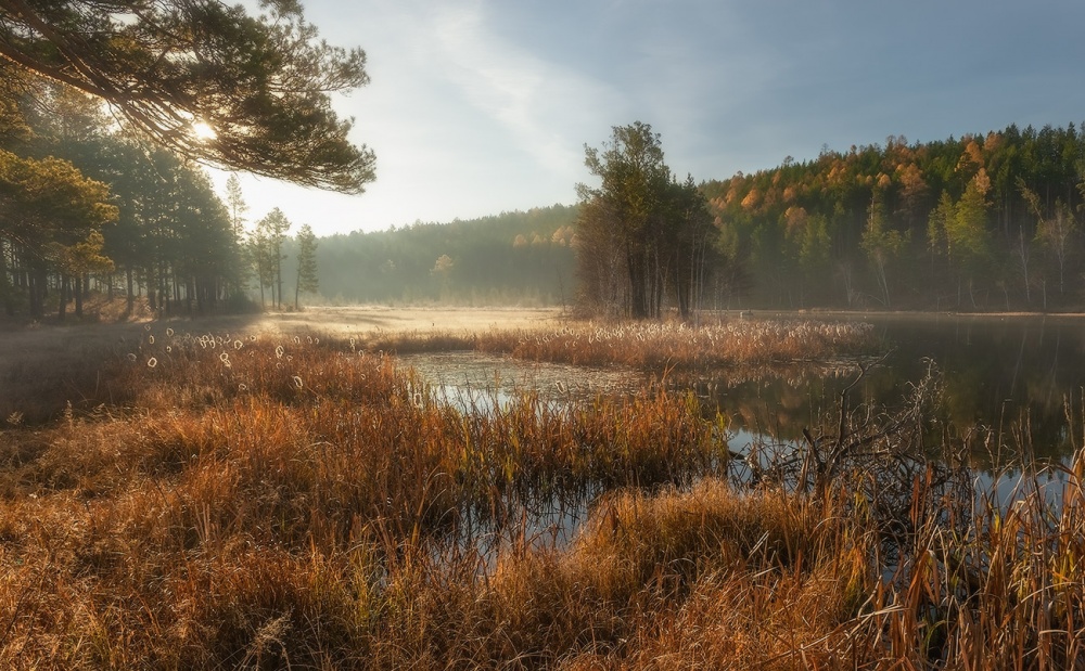 Sonnig am Morgen ...