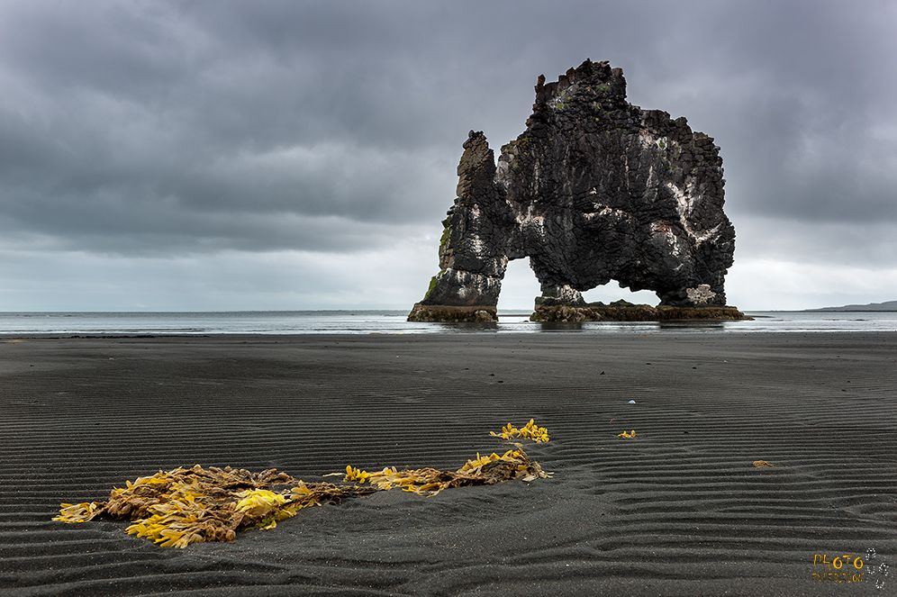 Isländische Elefanten