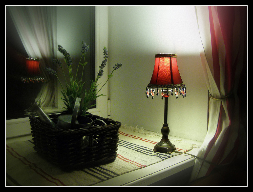 im Licht einer Lampe