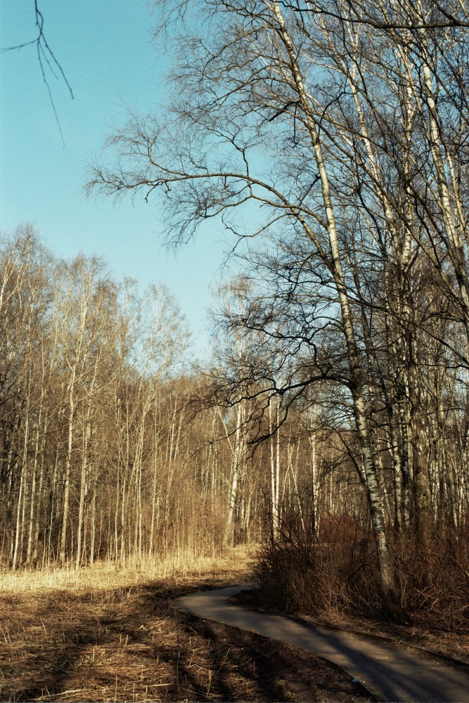 Der Frühling ist gekommen