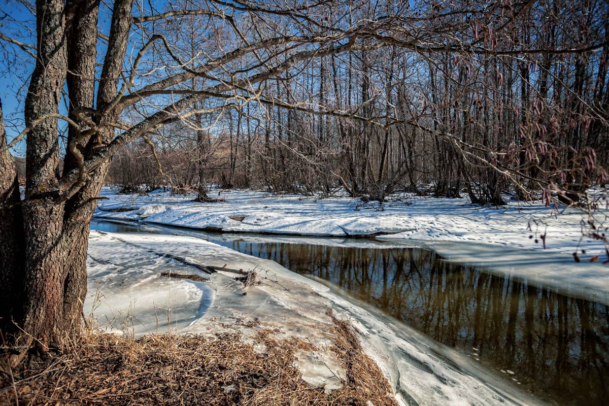 Frühling auf dem Malaya Puditsa.