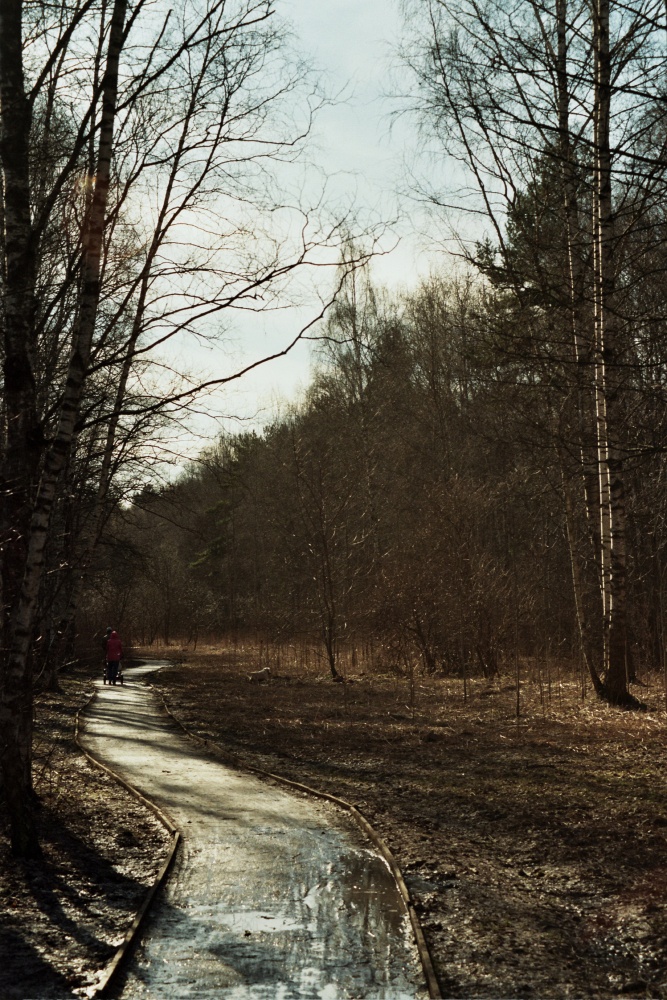 Auf den Straßen des Lebens