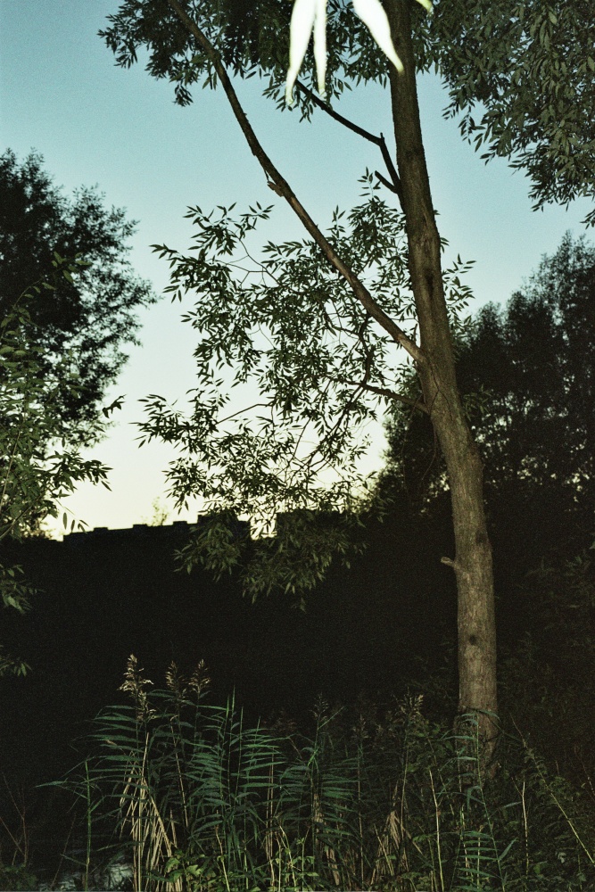 Abend-grüne abstrakte