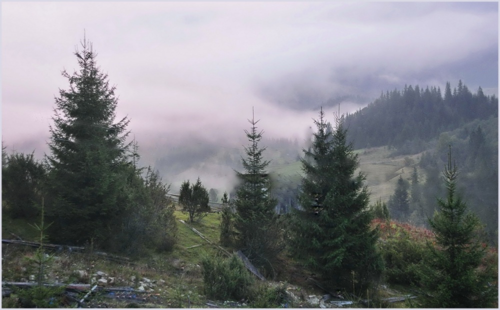 Milchstraße weichen Nebel winkt ...