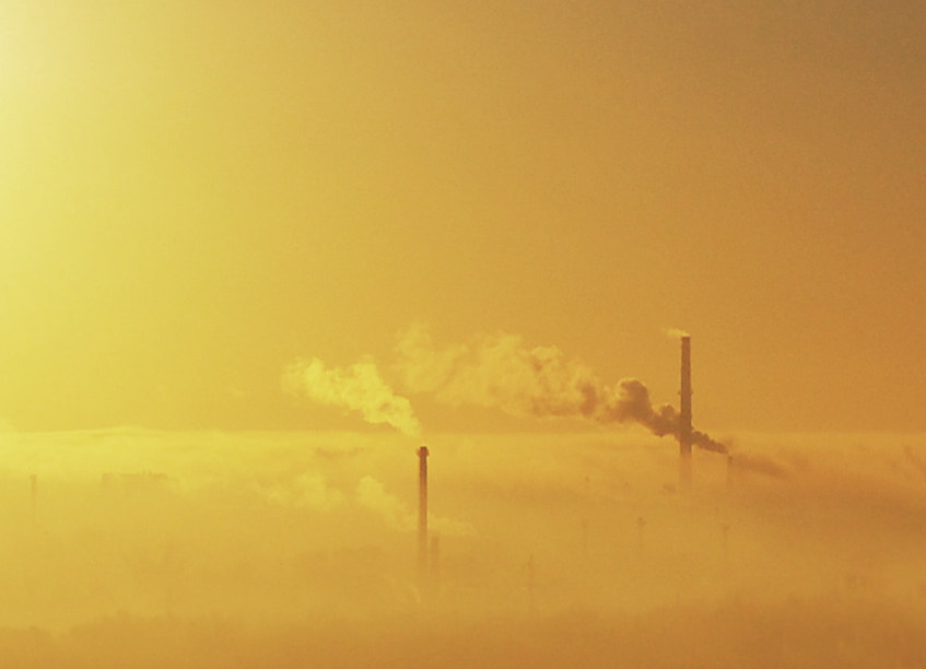 Der tödliche Schönheit