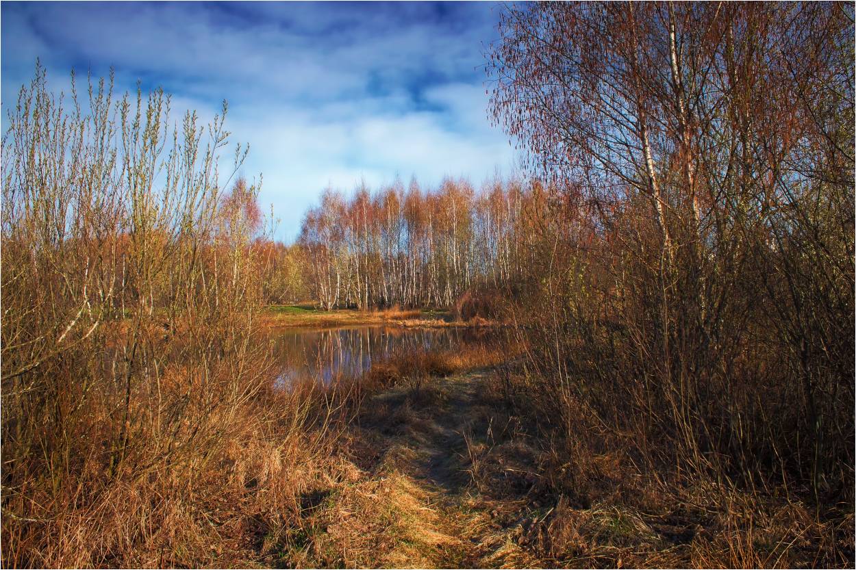 6. April Spring Road